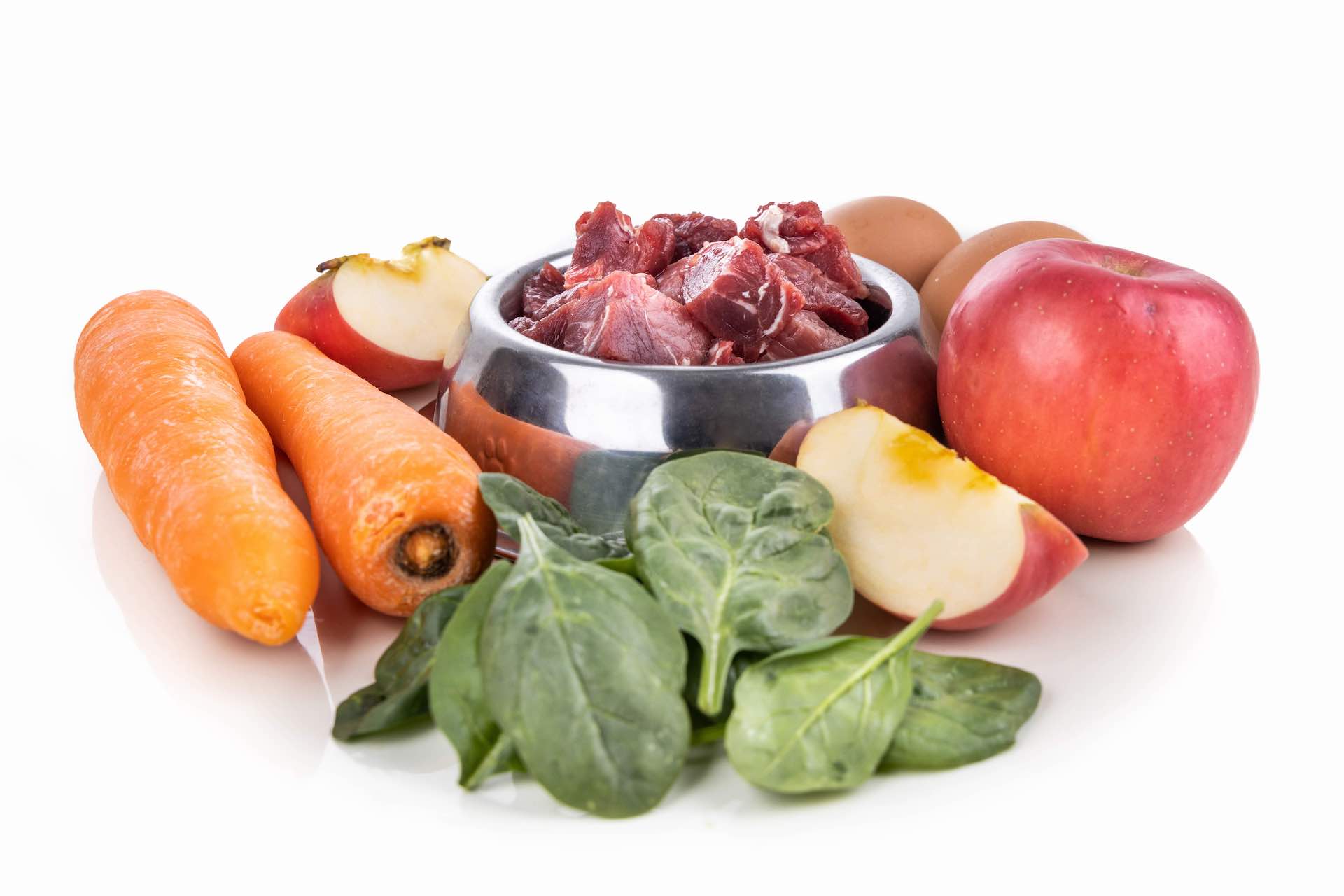 Ingredient of barf raw food recipe for dogs consisting meat, eggs and vergetable for good health