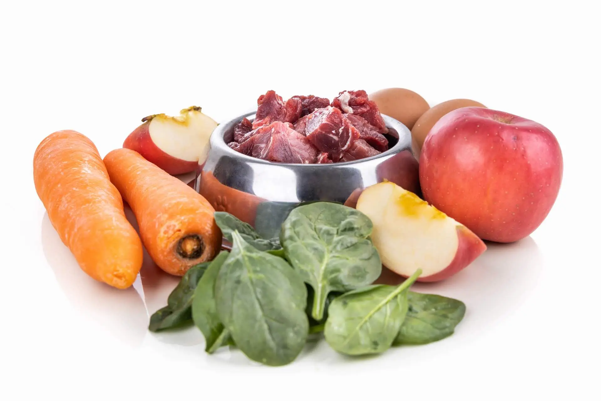 Ingredient of barf raw food recipe for dogs consisting meat, eggs and vergetable for good health